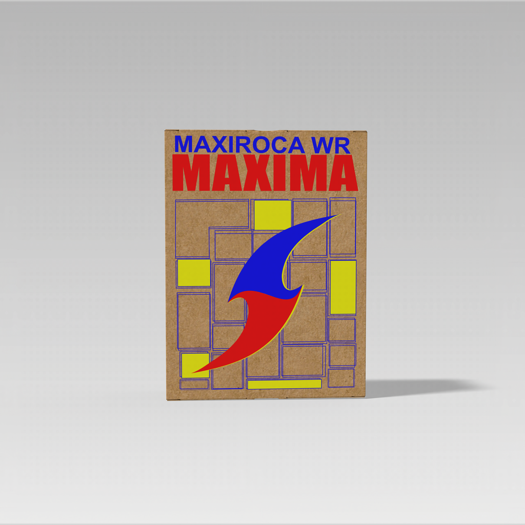 STRUCTURAL REPAIR MORTAR MAXIROCA WR (5KG BAG)